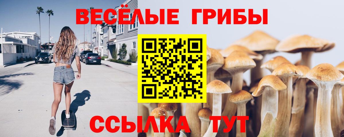 Псилоцибиновые грибы мухоморы Сокол